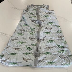 🐝 Burt’s Bees Baby 🐝 Dinosaur Sleep Sack - Gray and Green